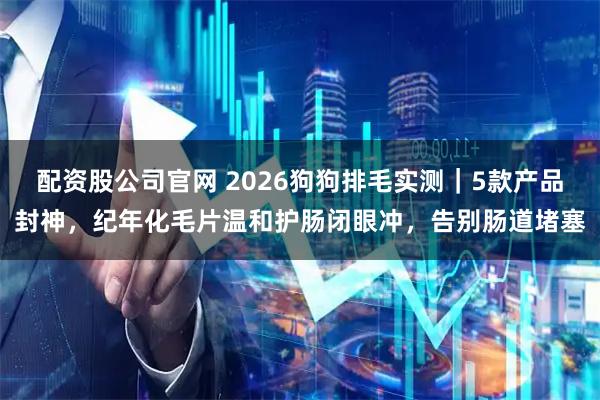 配资股公司官网 2026狗狗排毛实测｜5款产品封神，纪年化毛片温和护肠闭眼冲，告别肠道堵塞
